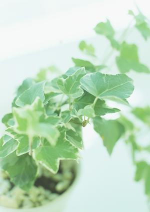 低価格で品質にもこだわった洗面化粧台とは